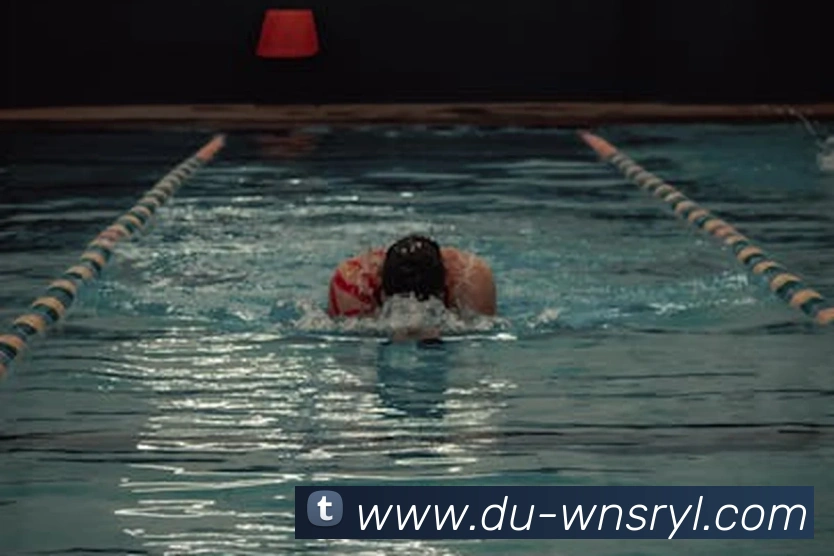 威尼斯人官网平台生态图